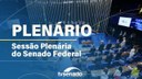 Sessão Plenária